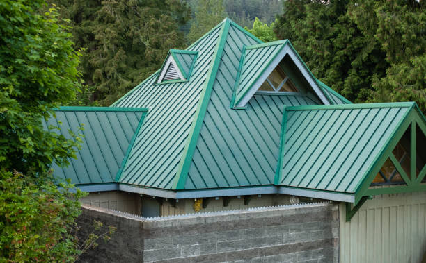 Best Sheet Metal Roofing  in Taylor Creek, OH