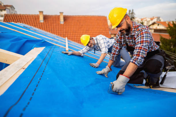 Best Rubber Roofing (EPDM, TPO)  in Taylor Creek, OH