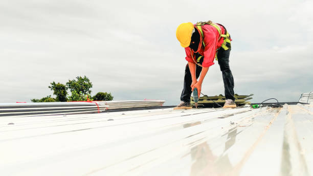 Best Roof Leak Repair  in Taylor Creek, OH